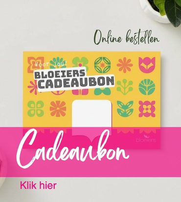 bloeiers cadeaubon 2