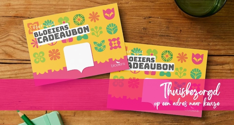 cadeaobon 1